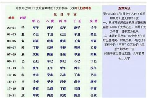 八字重量表2024|免費八字重量計算機